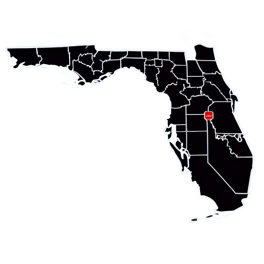 Florida Outline With Counties Png 11 PNG image