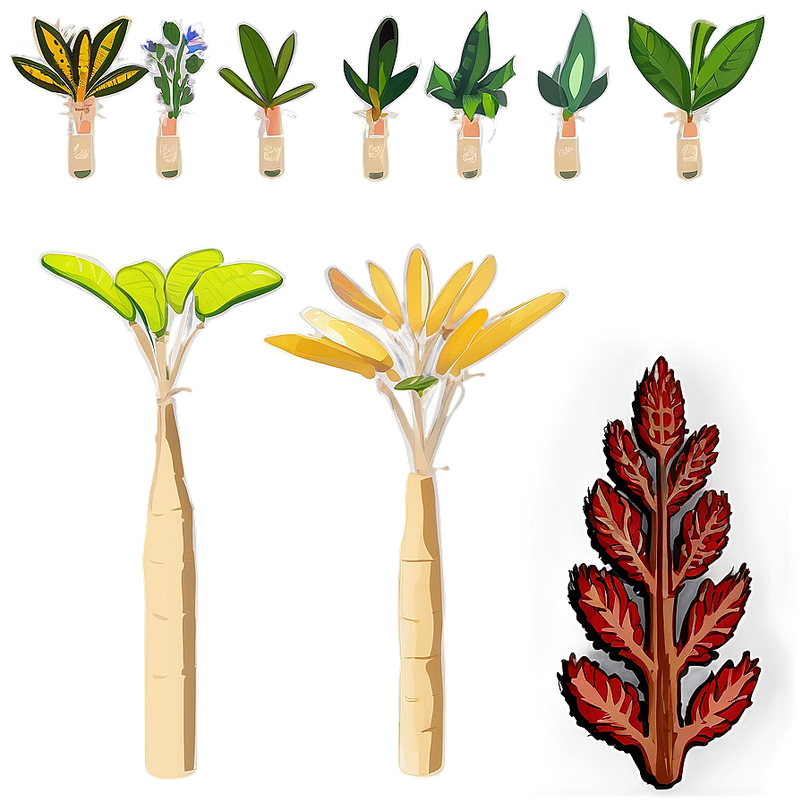 Florida State Native Plants Png 25 PNG image