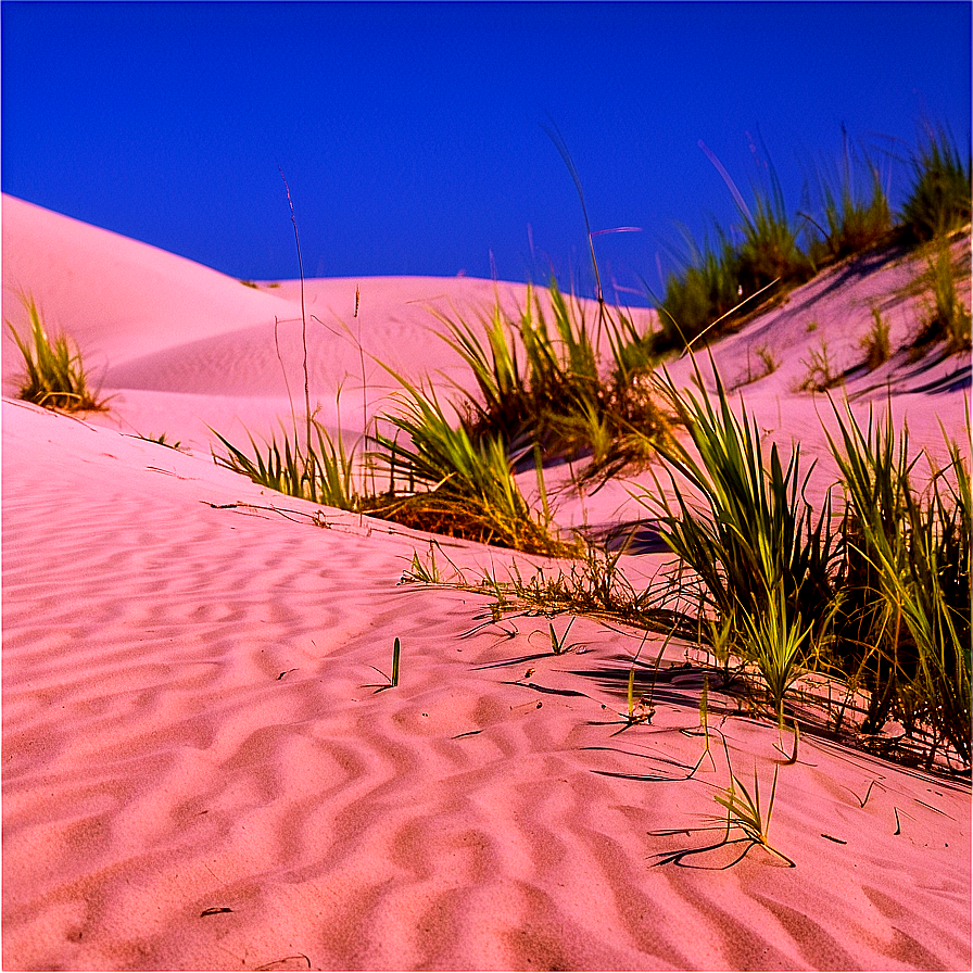 Florida State Sand Dunes Png 06212024 PNG image