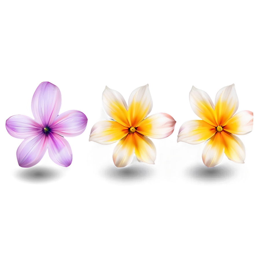 Flower Clipart Png 05252024 PNG image