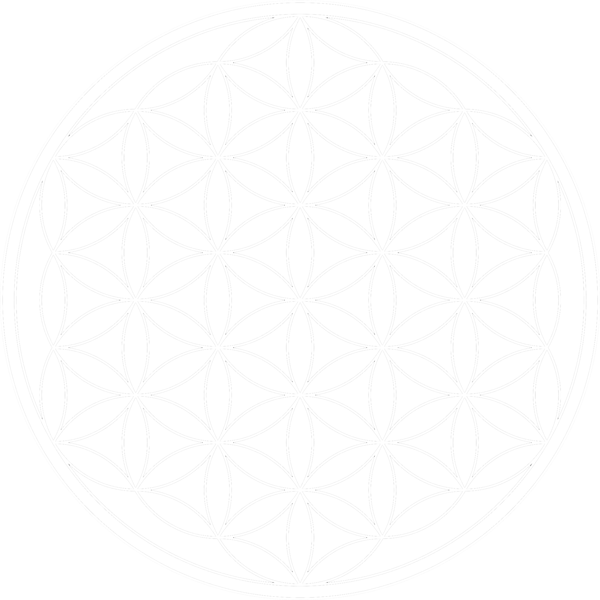 Flower Of Life_ Sacred Geometry.png PNG image