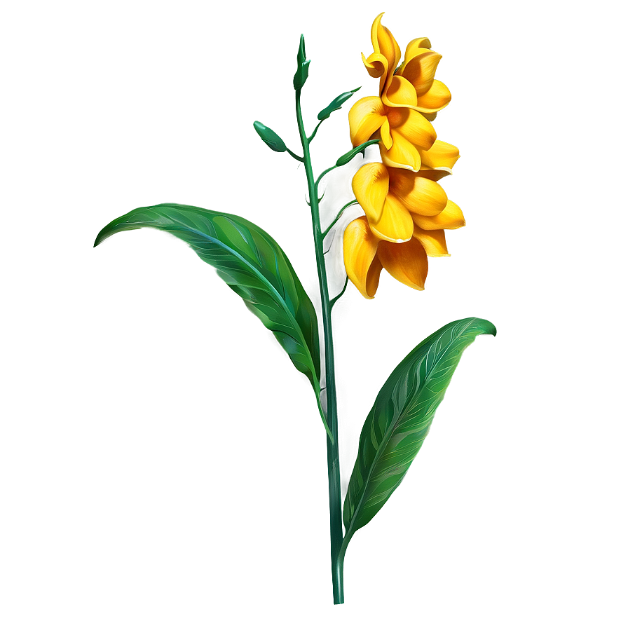 Flower Stem A PNG image