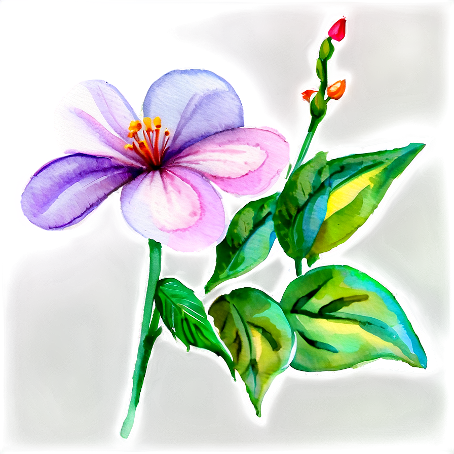 Flower Watercolor B PNG image