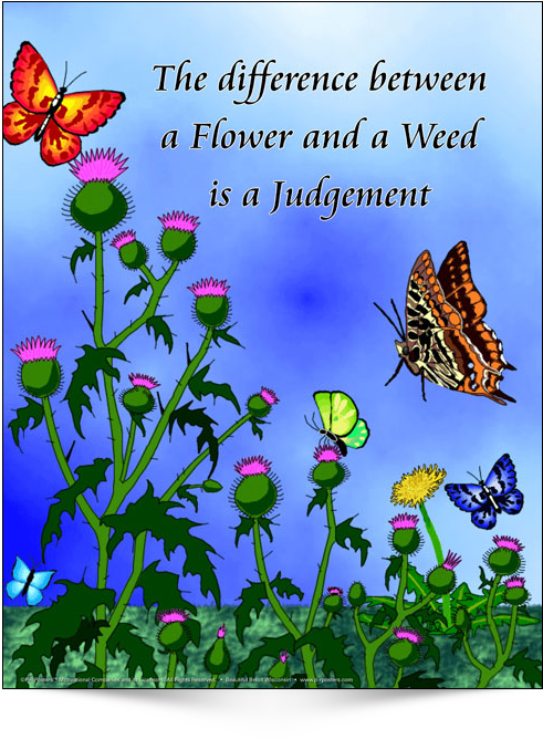 Flower Weed Judgement Quote PNG image