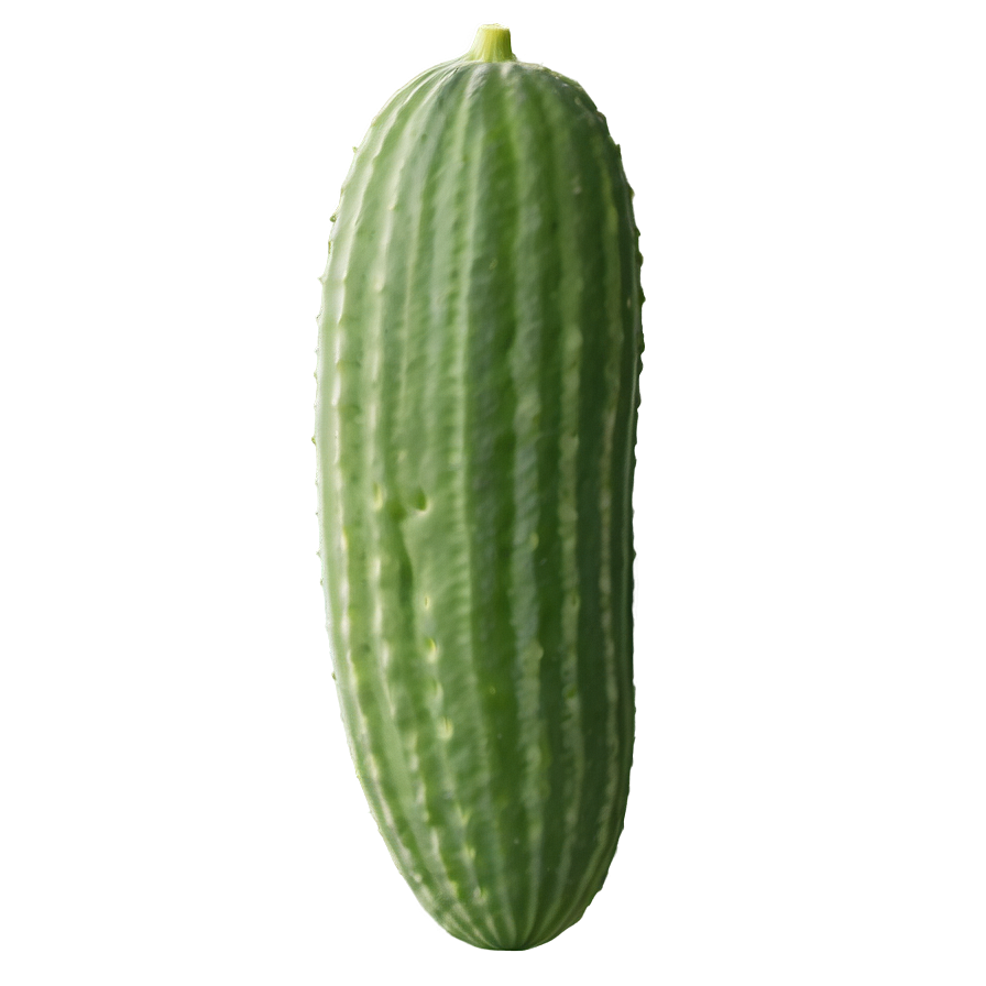 Flowering Cucumber Plant Png 87 PNG image