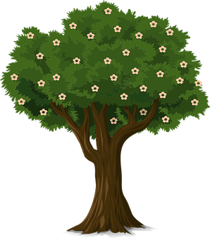 Flowering Tree Illustration PNG image