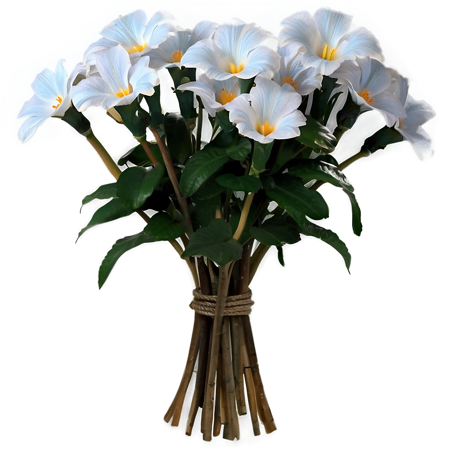 Flowers C PNG image