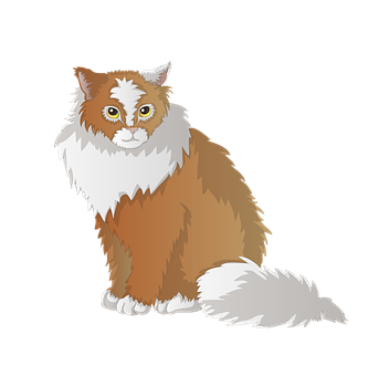 Fluffy Brown White Cat Illustration PNG image