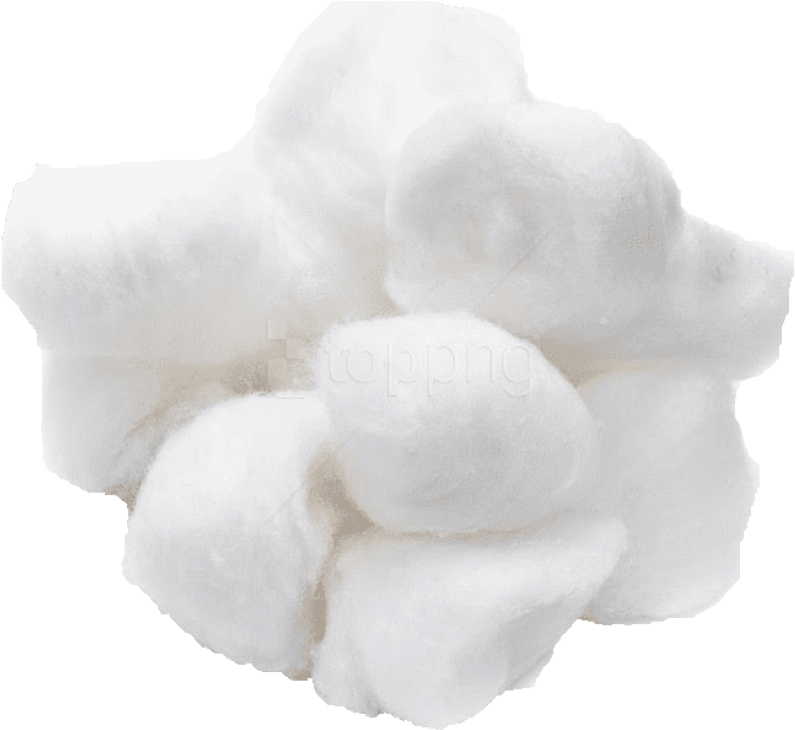 Fluffy Cotton Boll PNG image