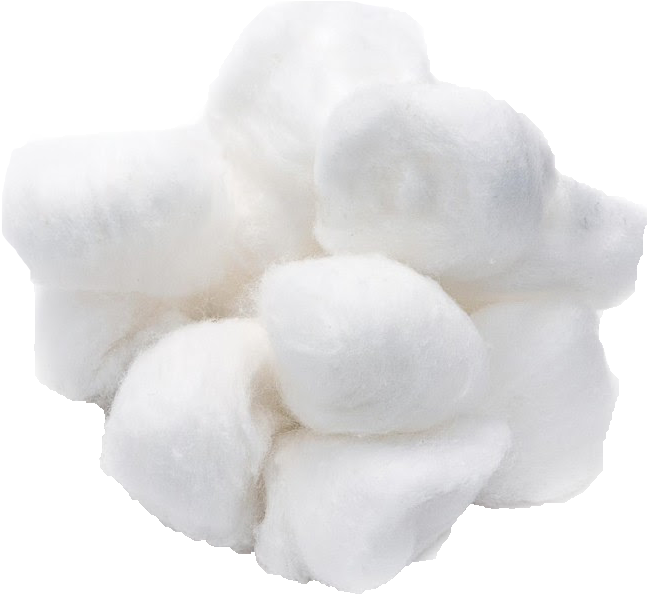 Fluffy Cotton Boll PNG image