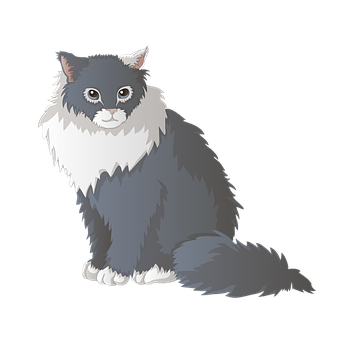 Fluffy Grayand White Cat Illustration PNG image