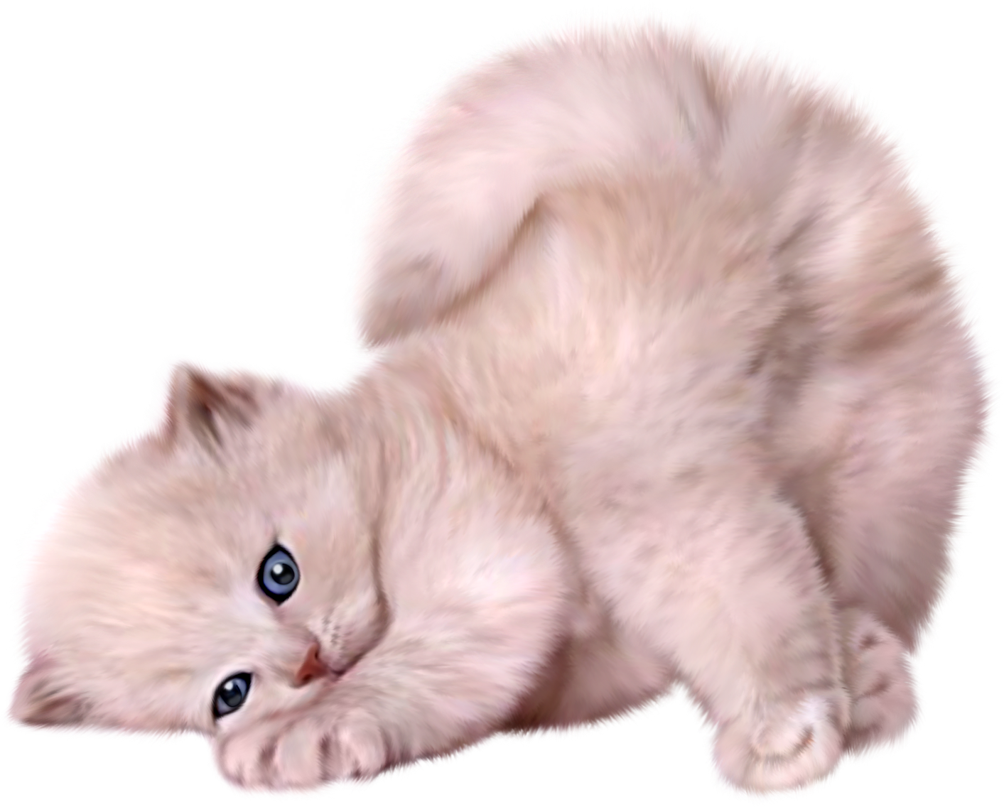 Fluffy Kitten Lying Down PNG image