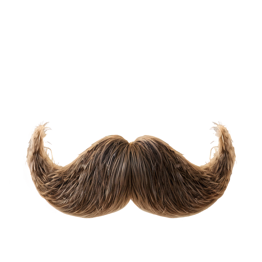 Moustache Png Images (100++)