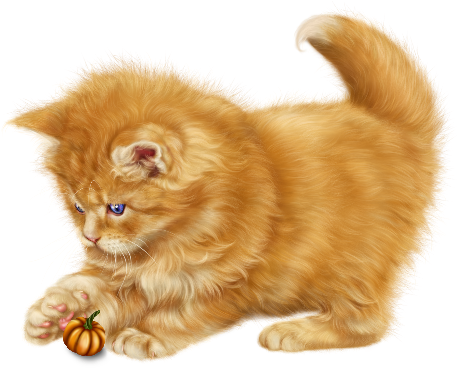 Fluffy Orange Kitten Playing PNG image