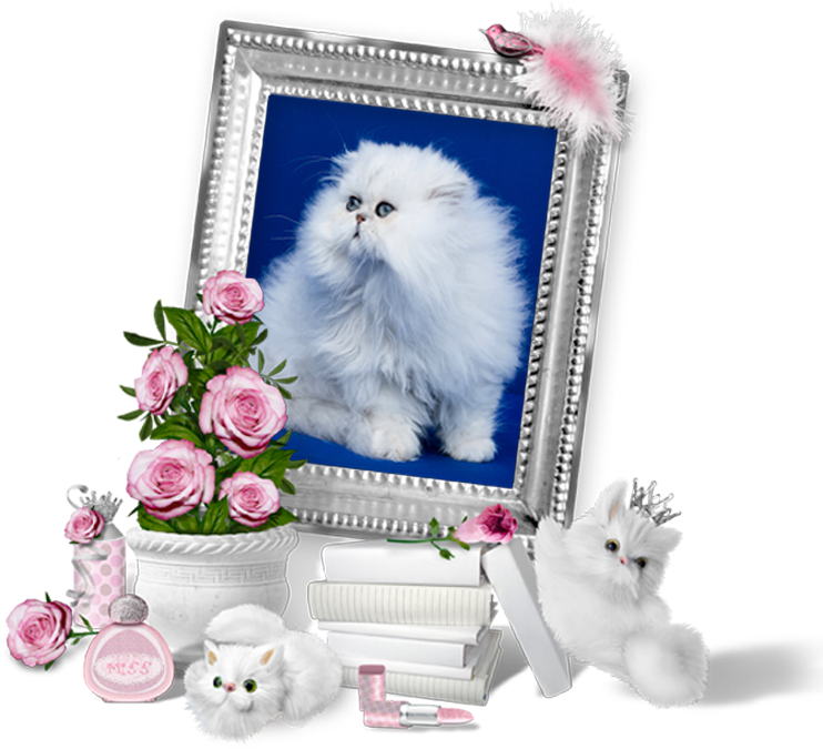 Fluffy White Cat Framedwith Pink Rosesand Accessories PNG image