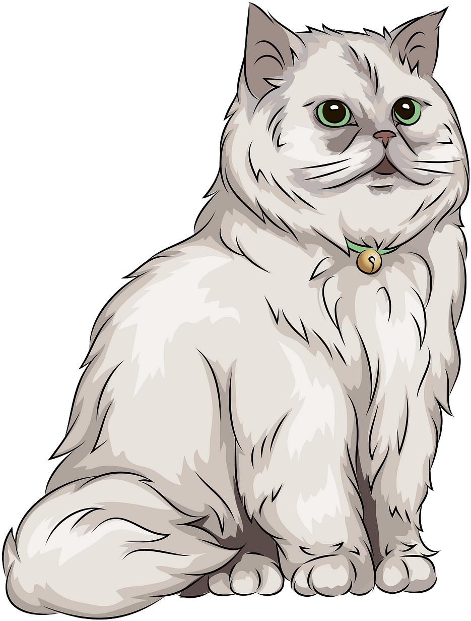 Fluffy White Cat Illustration PNG image