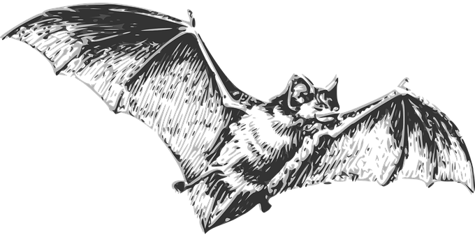 Flying Bat Silhouette PNG image