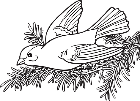 Flying Bird Blackand White Illustration PNG image