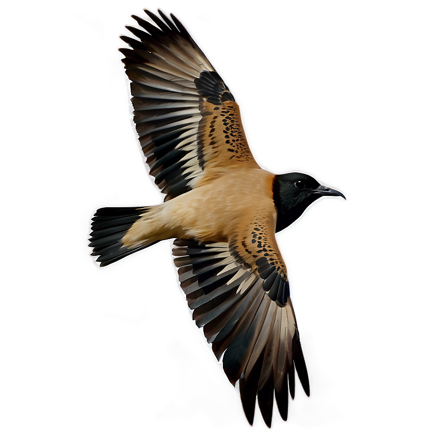 Flying Bird Transparent Png 05032024 PNG image