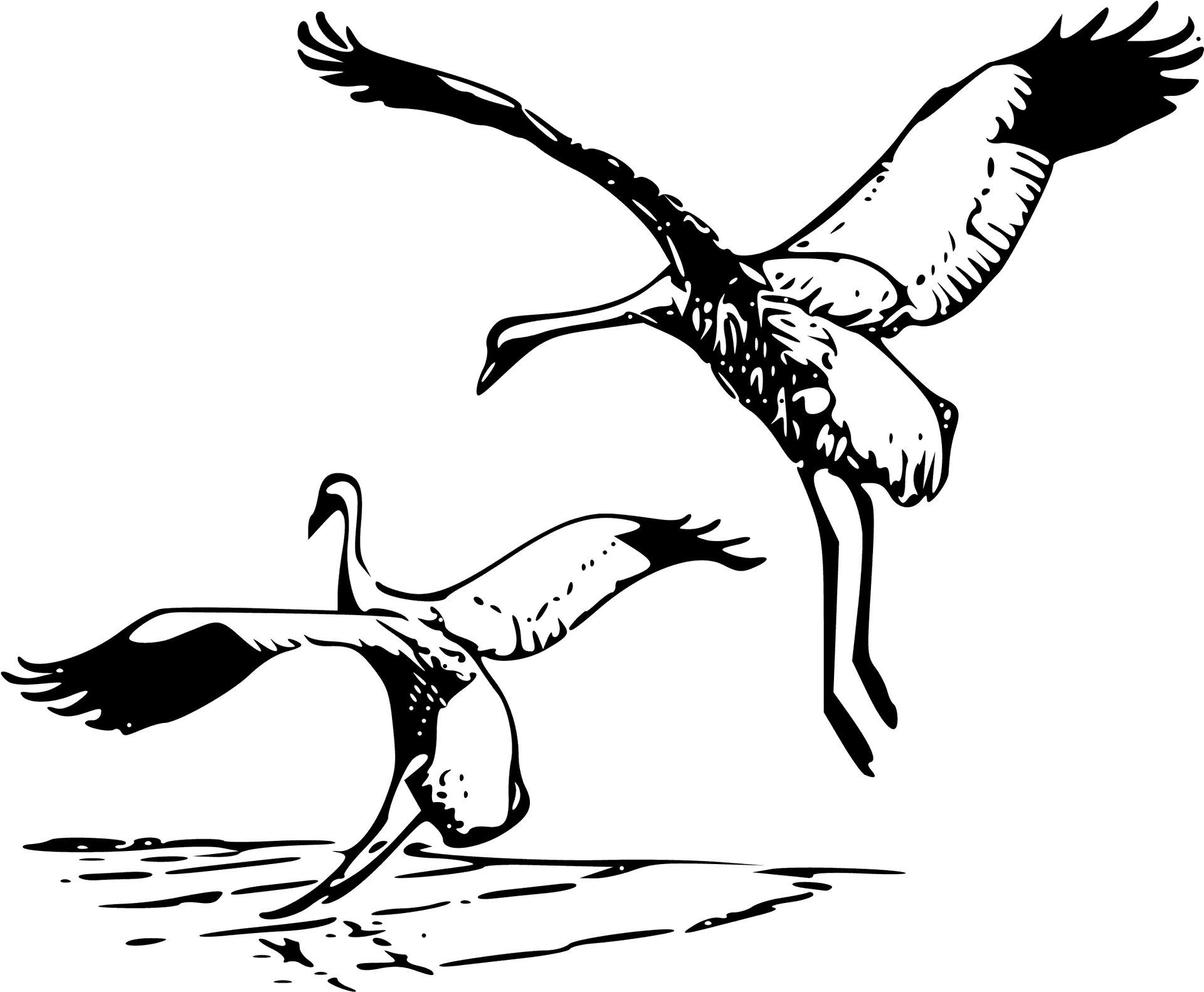 Flying Black Birds Sketch PNG image