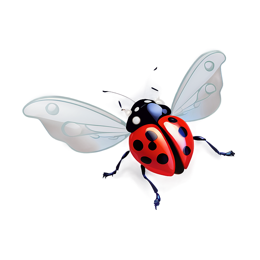 Flying Ladybug Graphic Png Imm PNG image