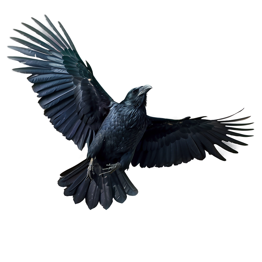 Flying Raven Png 05062024 PNG image