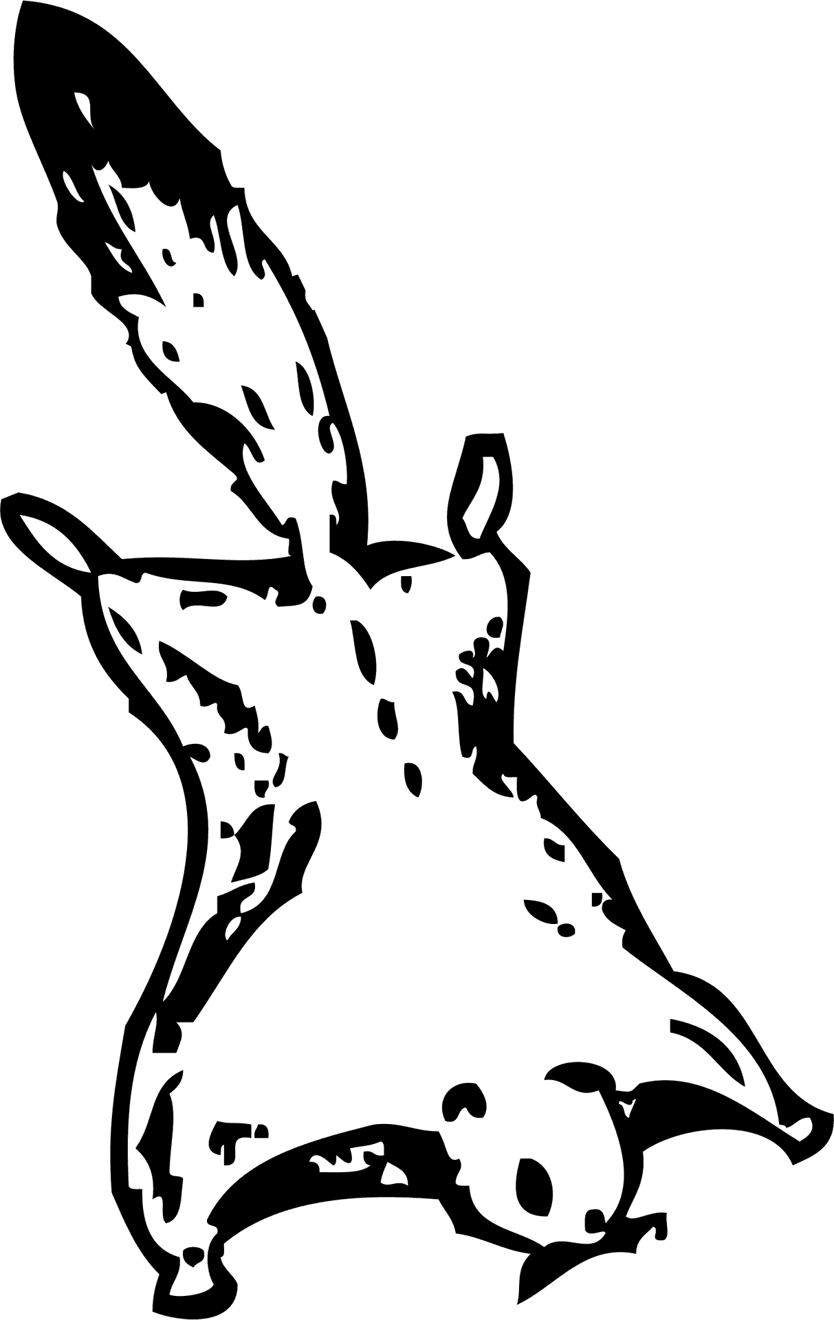 Flying_ Squirrel_ Silhouette PNG image