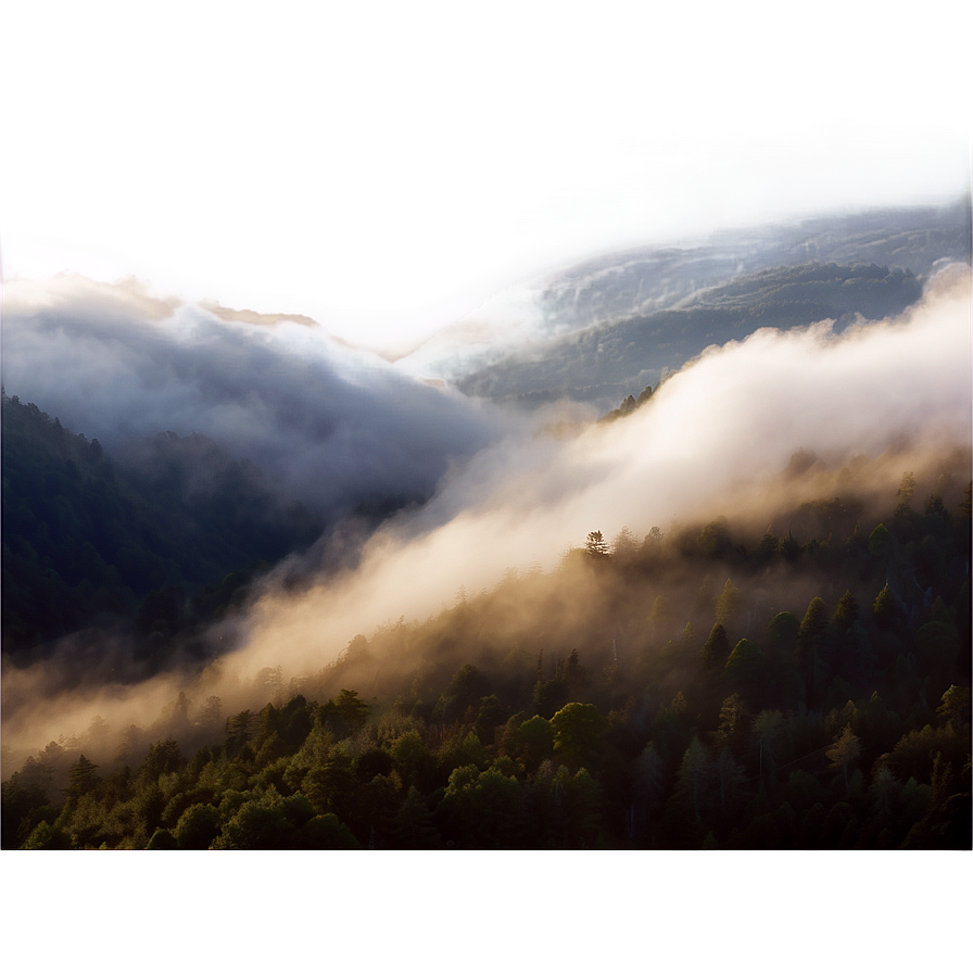 Fog A PNG image