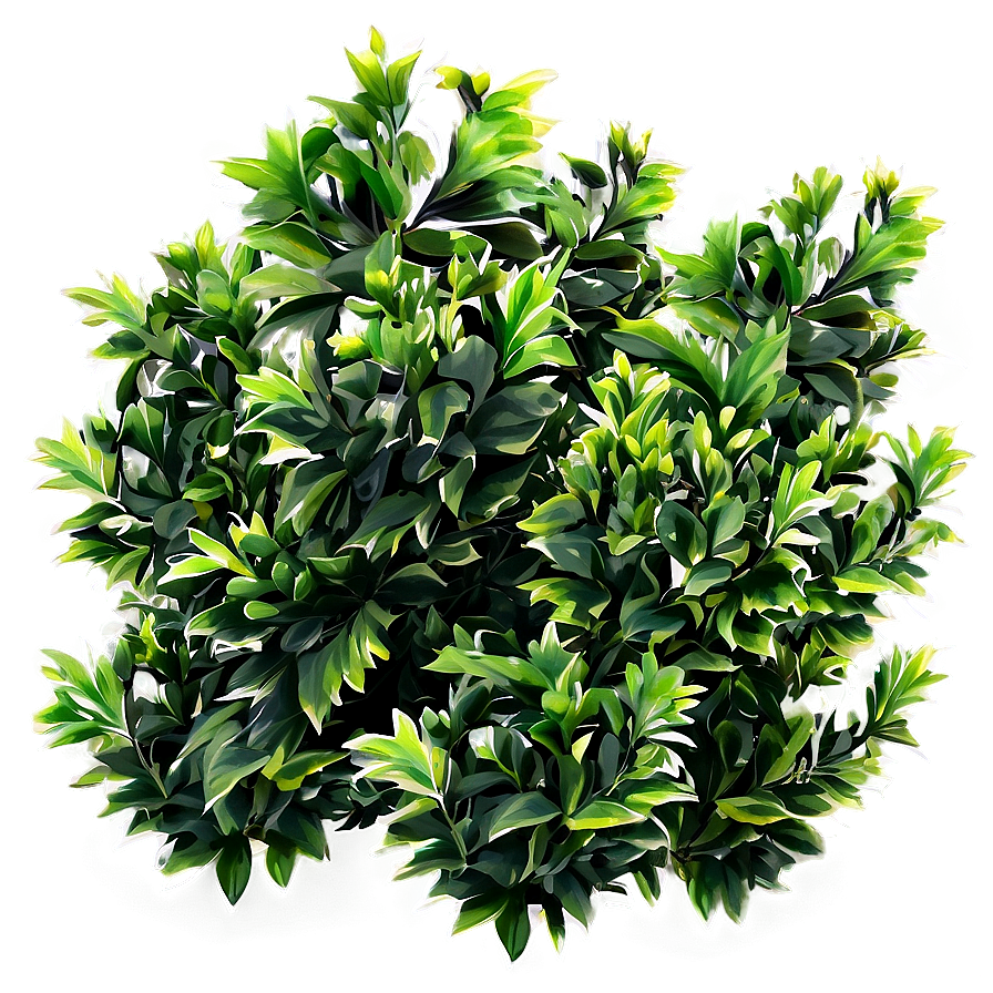 Foliage Shrubs Png 47 PNG image