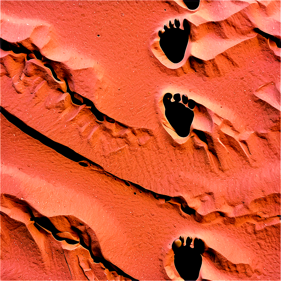 Footprints On Sandy Desert Png 06242024 PNG image