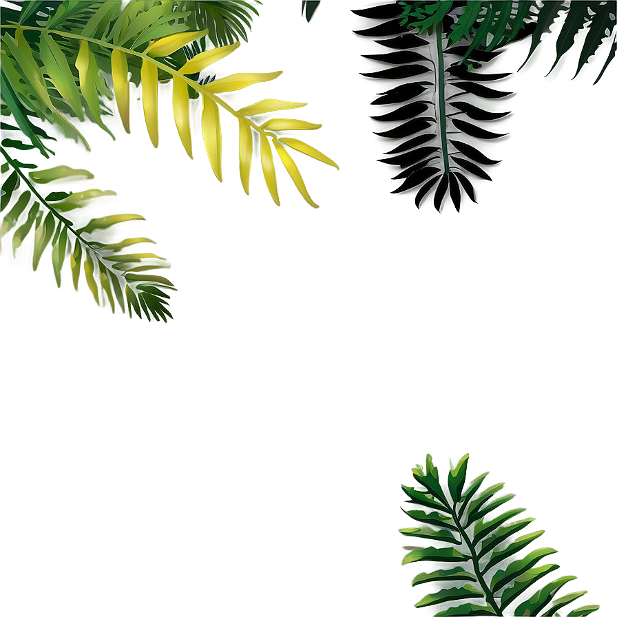 Forest Canopy Top Clipart Png 06262024 PNG image