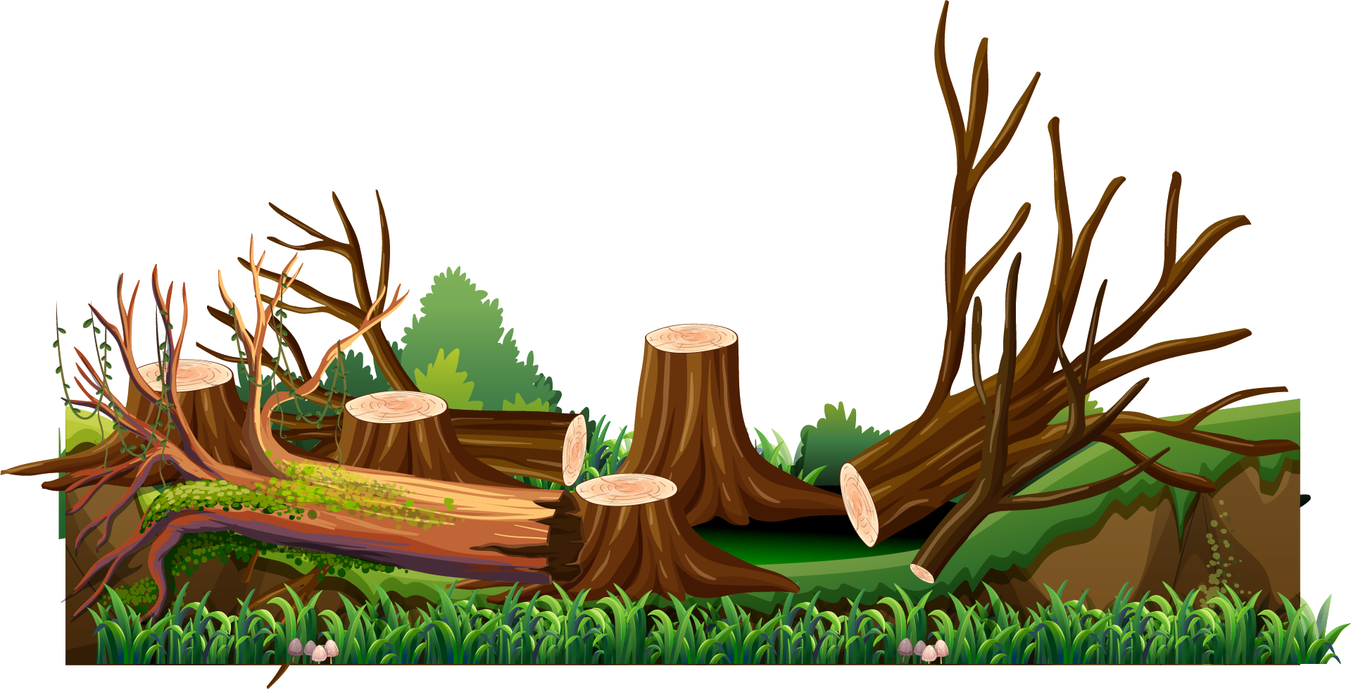 Forest_ Clearing_with_ Tree_ Stumps PNG image