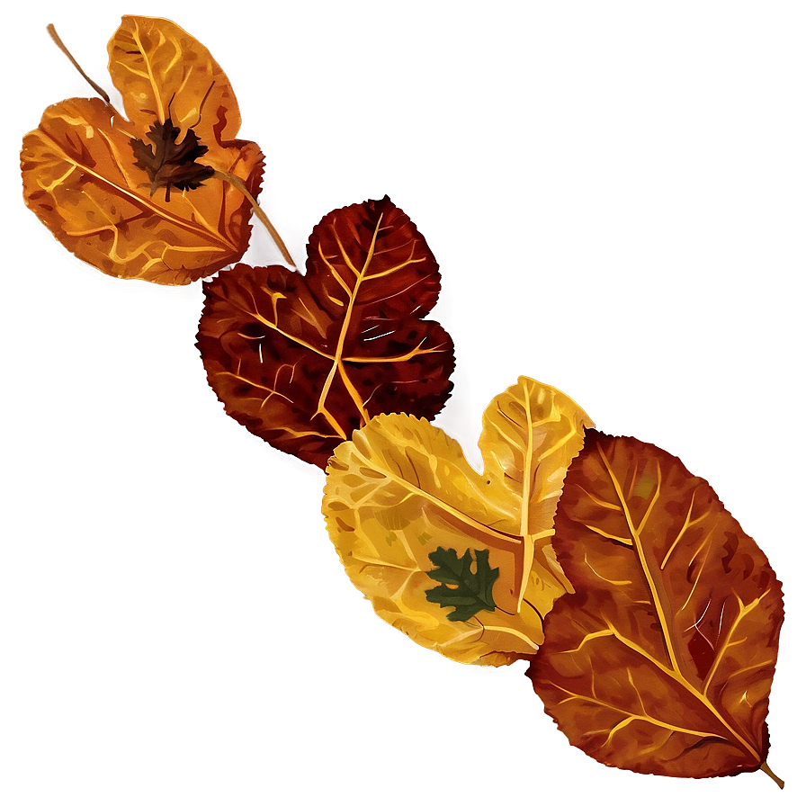 Forest Floor Leaves Fall Png Rmy89 PNG image