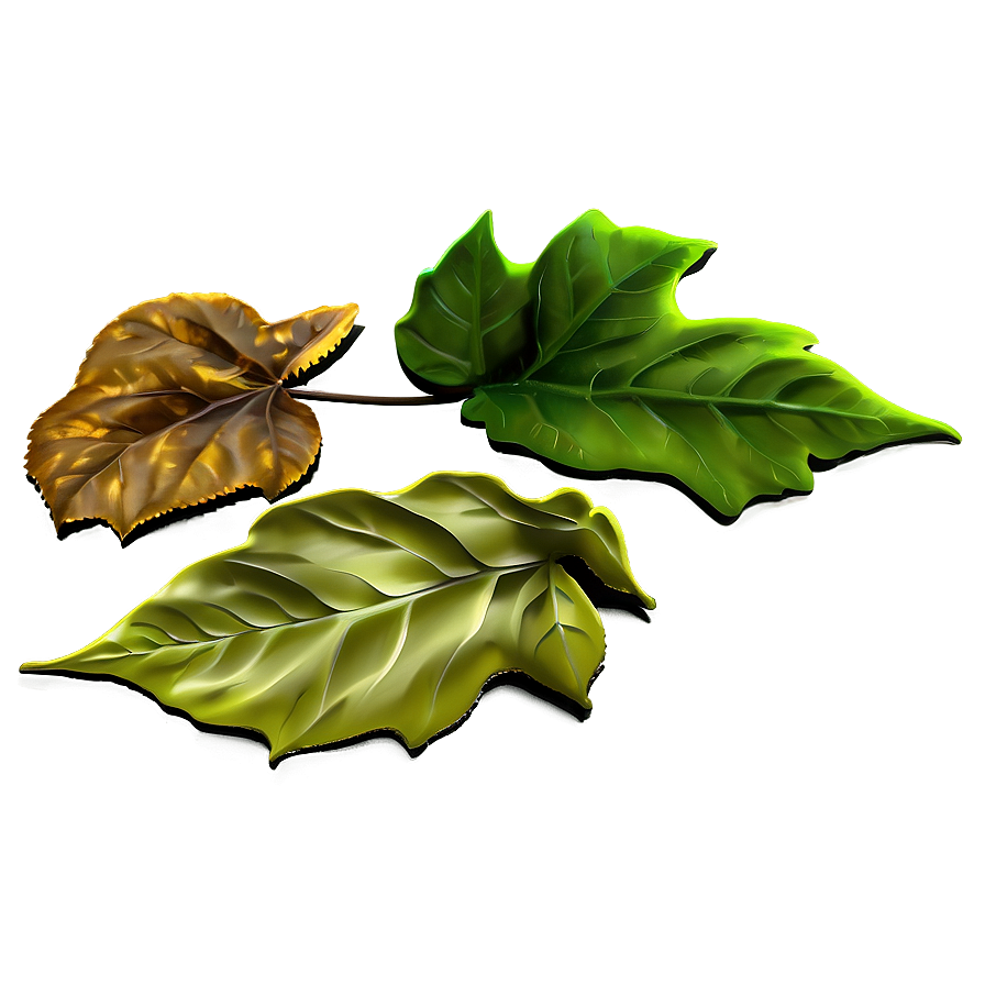 Forest Floor With Fallen Leaves Png 74 PNG image