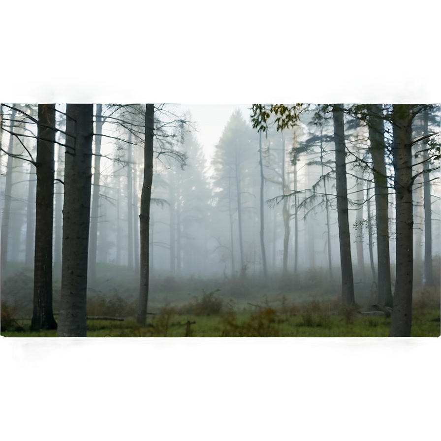 Forest Fog Png Uwg92 PNG image