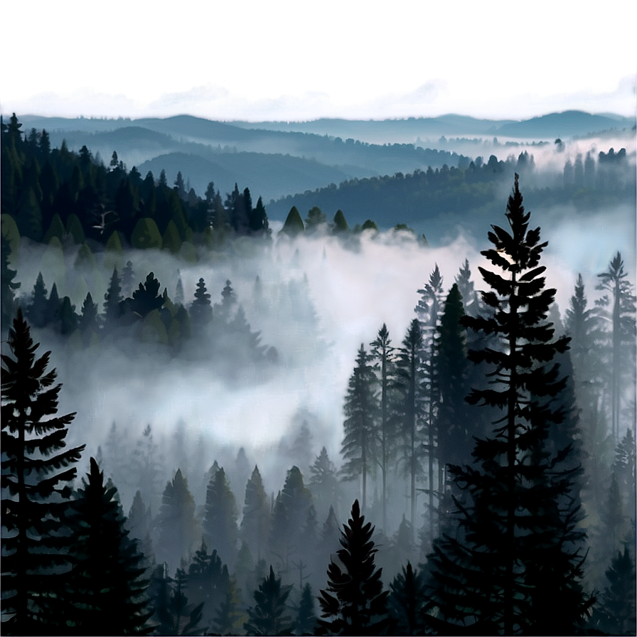 Forest Fog Transparent Png 4 PNG image