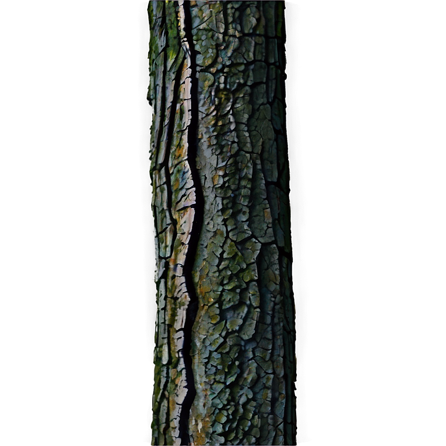 Forest Tree Trunk Png 05242024 PNG image