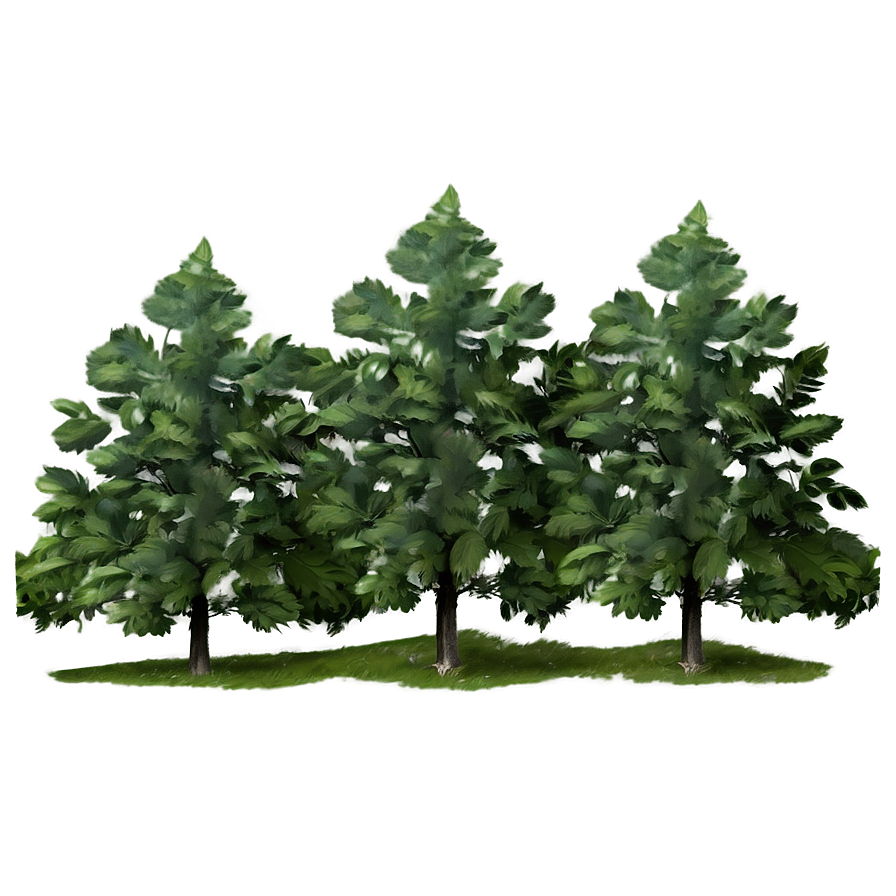 Forest Trees In Mist Png 22 PNG image