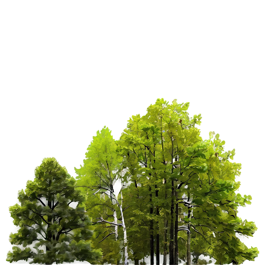 Forest Trees In Spring Png 52 PNG image