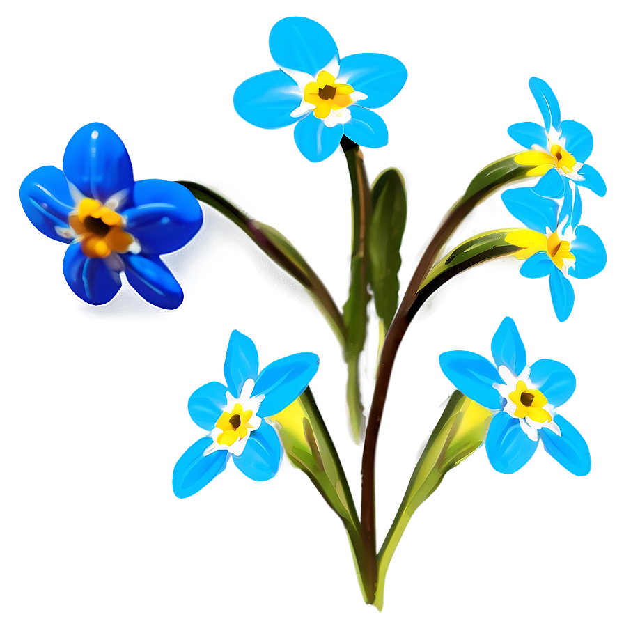 Forget-me-not Flower Drawing Png Geq PNG image