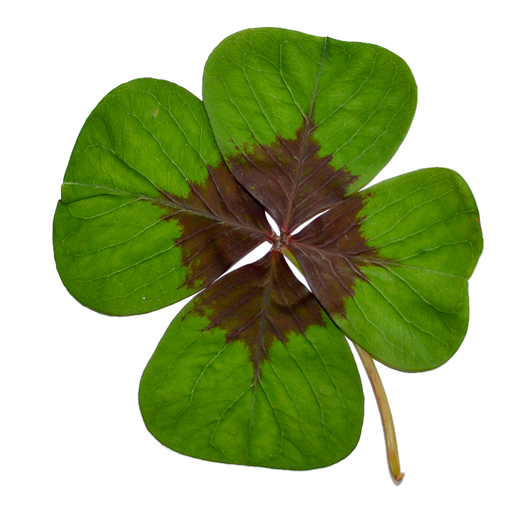 Four Leaf Clover Green Background PNG image