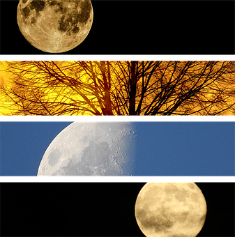 Four Moon Phases Collage PNG image