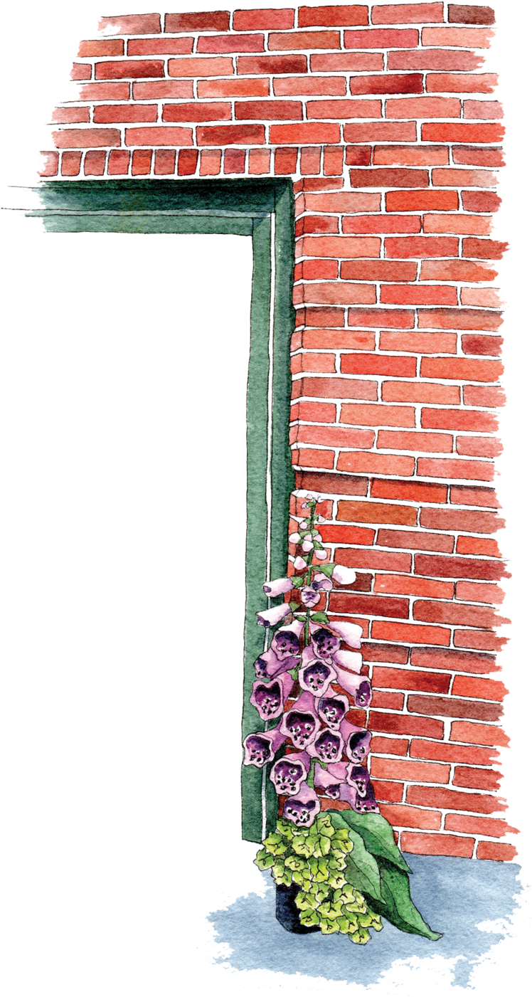 Foxglove Brick Wall Corner PNG image