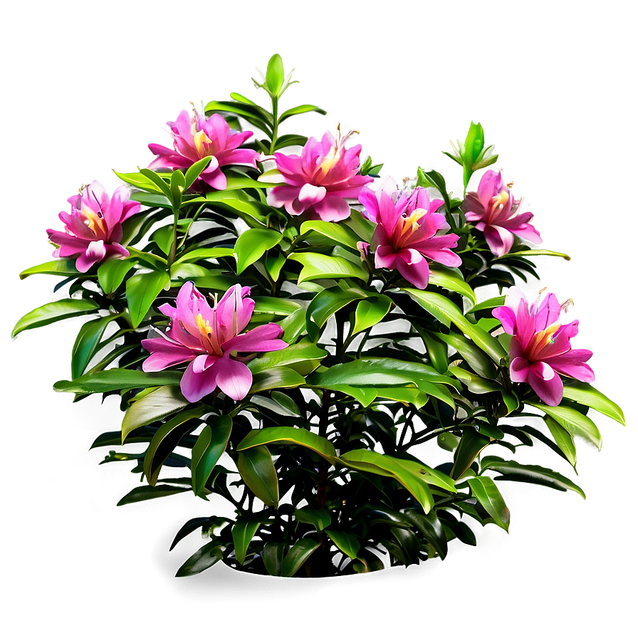 Fragrant Flower Bush Png Rei PNG image