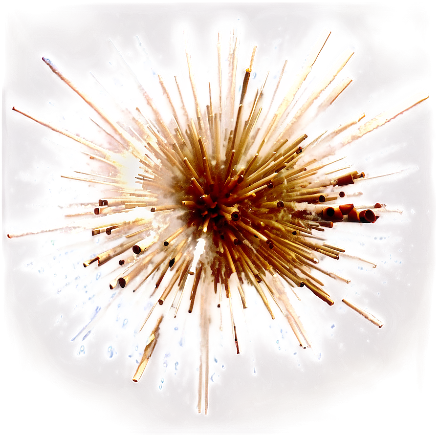 Free Explosion Transparent Png Collection Gdj67 PNG image