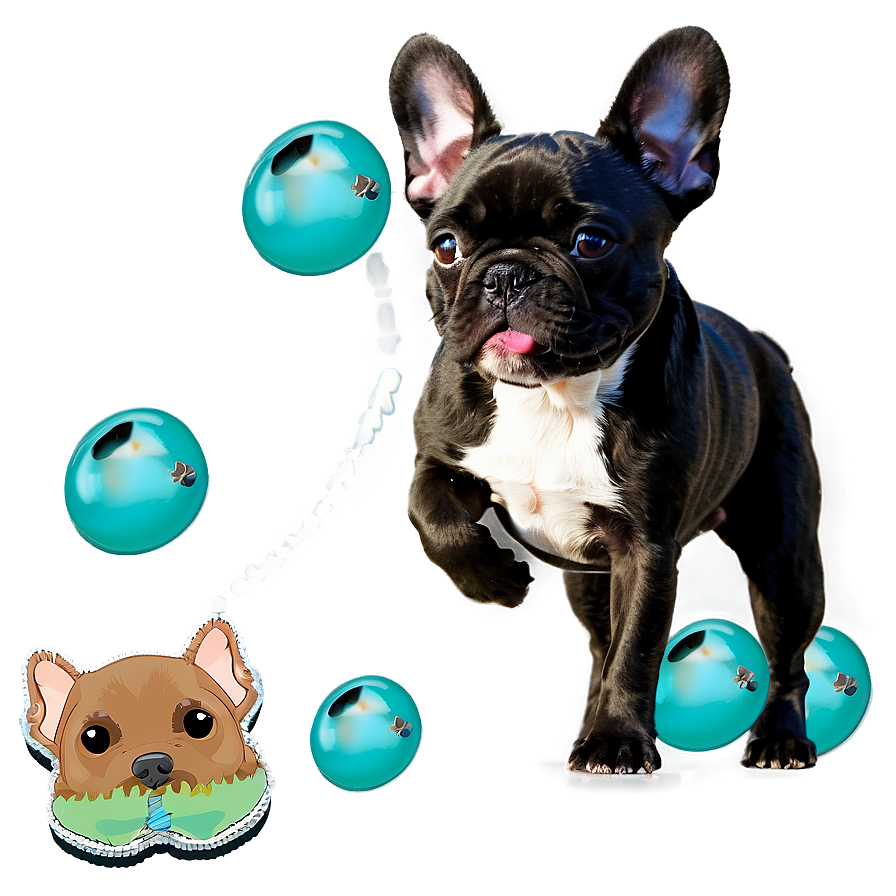 French Bulldog Playing Png Rgw71 PNG image