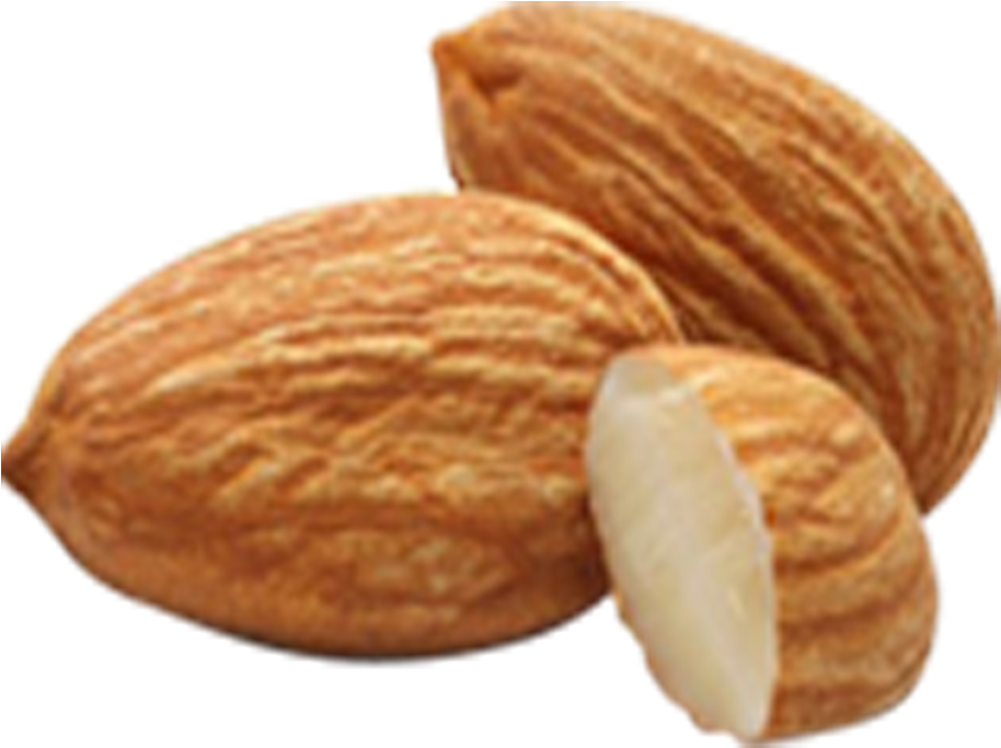 Fresh Almonds Isolatedon Background PNG image