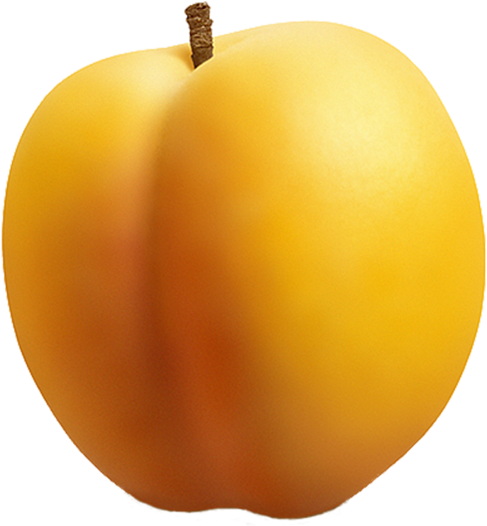 Fresh Apricot Single Fruit PNG image