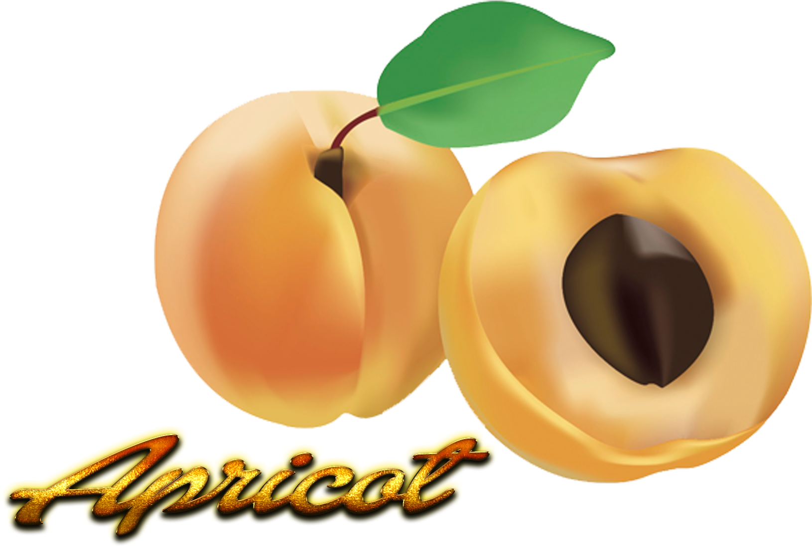 Fresh Apricotand Halfwith Seed PNG image