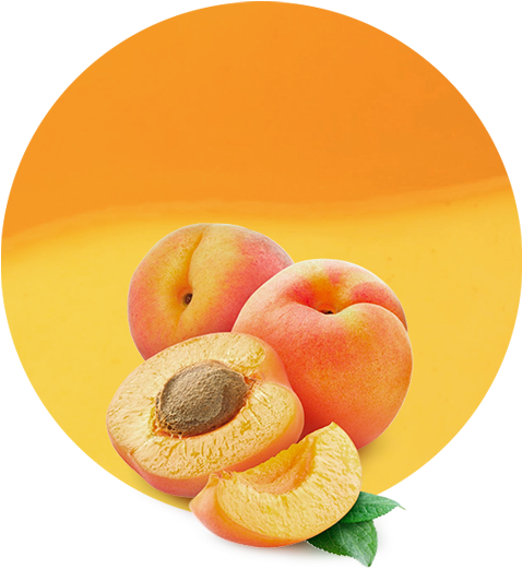 Fresh Apricots Display PNG image